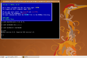 DosBox windows300