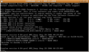 dosemu prompt300