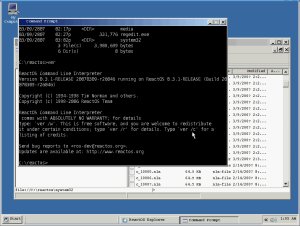 reactos prompt300