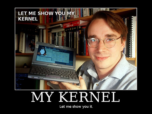 Torvalds kernel free
