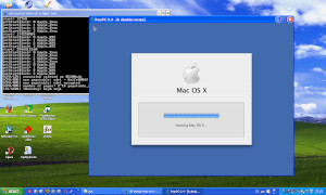 pear start2 300